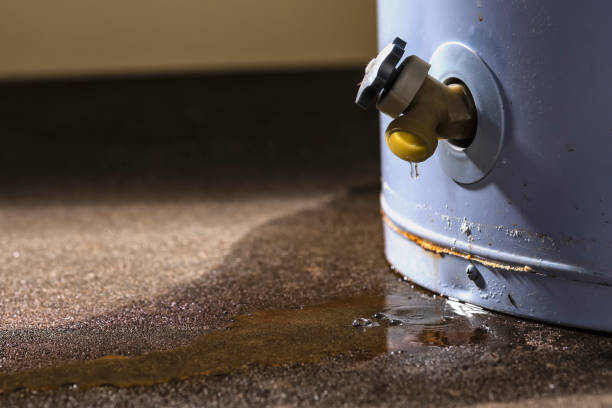 Best Water damage repair service  in Myrtle Point, OR