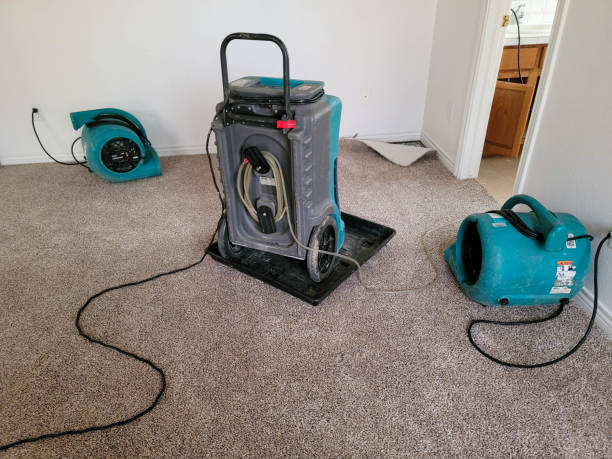 Best Mold removal after water damage  in Myrtle Point, OR