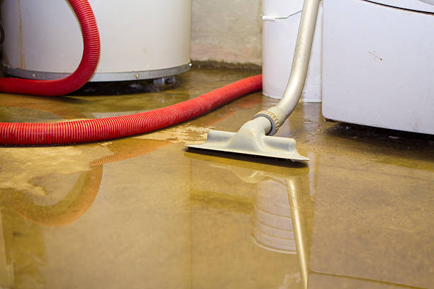 Best Carpet water damage restoration  in Myrtle Point, OR